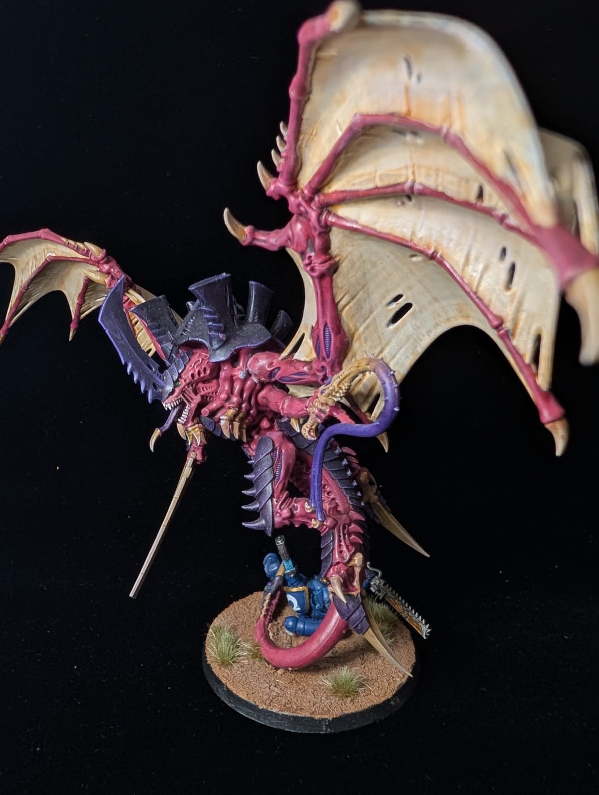 Tyranid Winged Hive Tyrant in pink and purple with bone coloured wings, on a sandy base